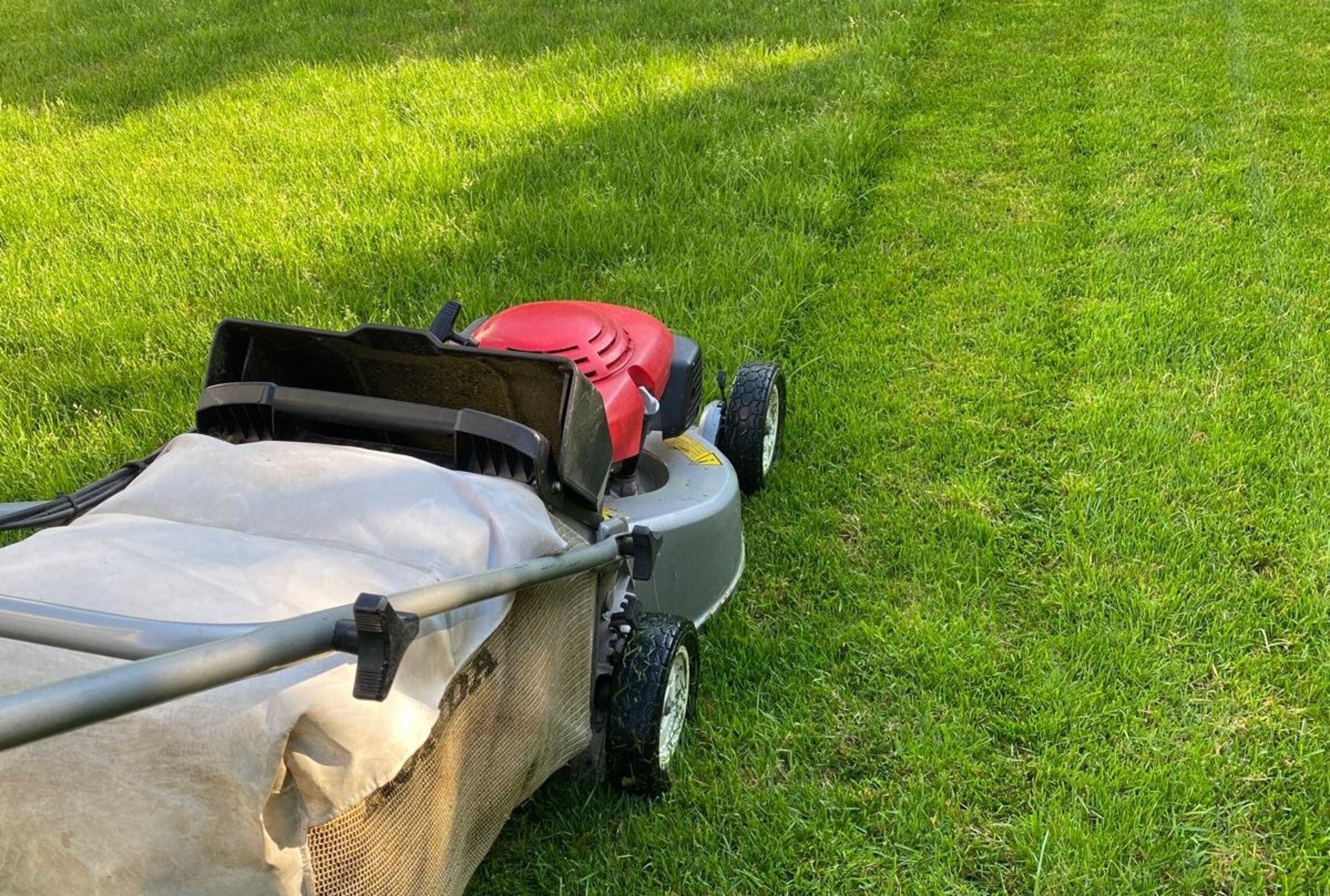 WhatsApp Image 2026 04 14 at 15.18.04hjklkjhl_cropped