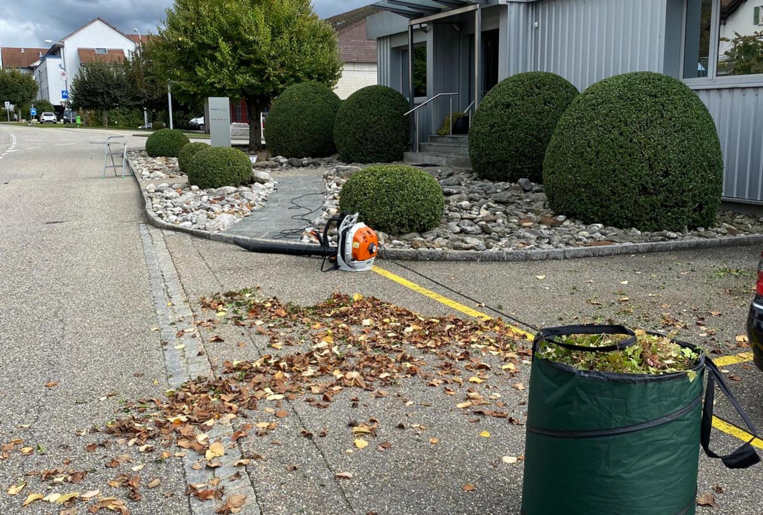 WhatsApp_Image_2026 04 18_at_22.02.49_cropped